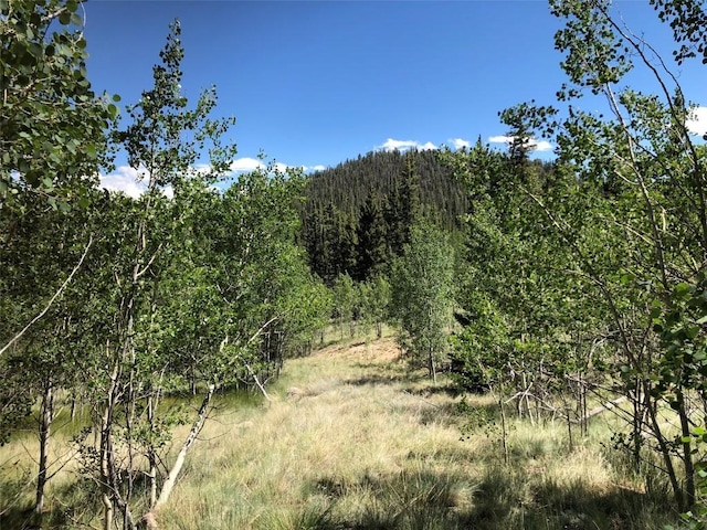 1135 Swiggler Rd, Jefferson, CO 80456