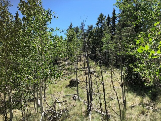 1135 Swiggler Rd, Jefferson, CO 80456