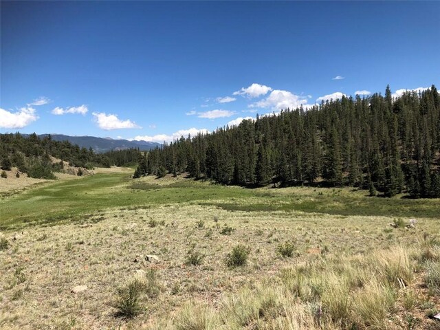 1135 Swiggler Rd, Jefferson, CO 80456