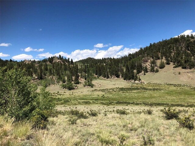 1135 Swiggler Rd, Jefferson, CO 80456