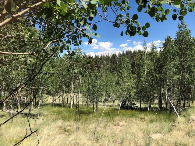 1135 Swiggler Rd, Jefferson, CO 80456