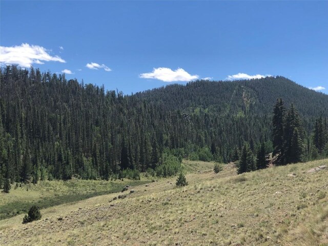 1135 Swiggler Rd, Jefferson, CO 80456