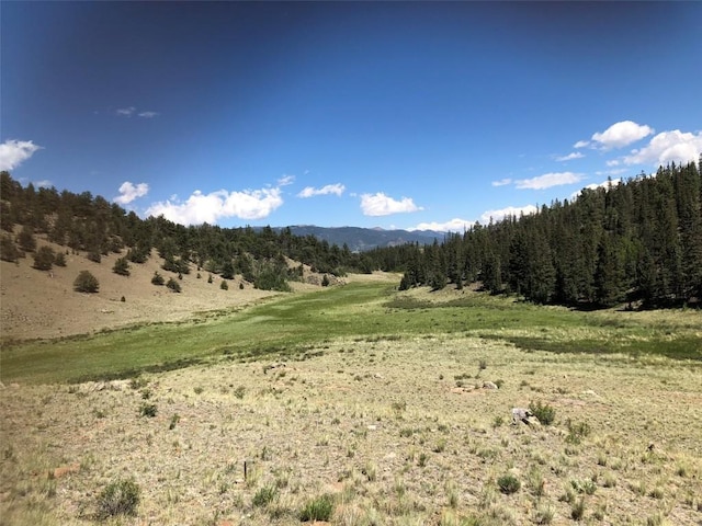 1135 Swiggler Rd, Jefferson, CO 80456