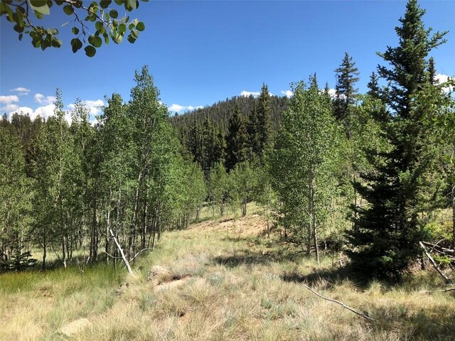 1135 Swiggler Rd, Jefferson, CO 80456