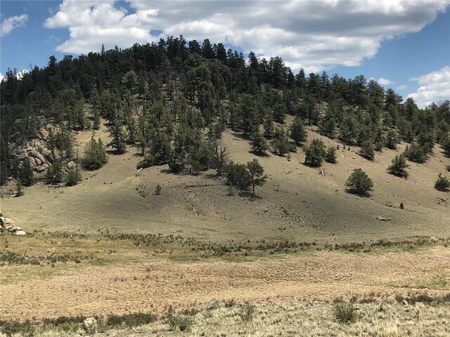 1135 Swiggler Rd, Jefferson, CO 80456