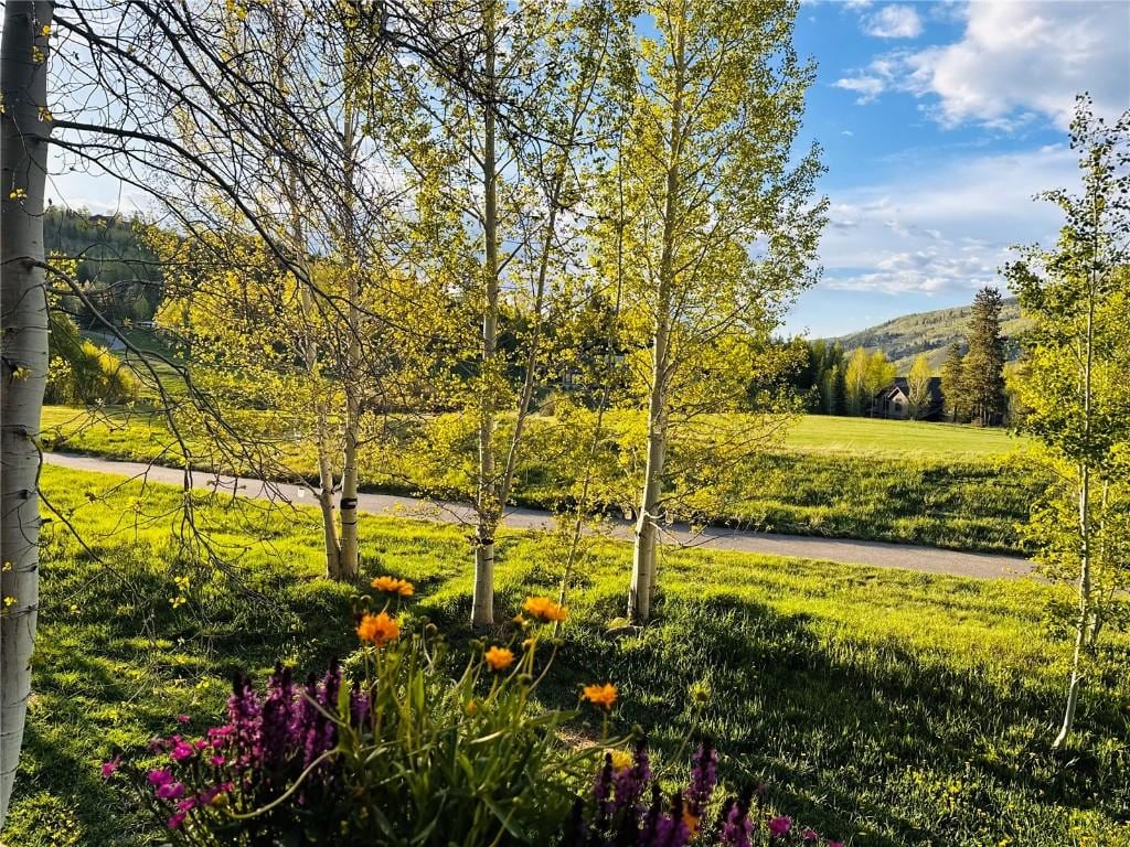 402 Kestrel Ln, Silverthorne, CO 80498 - view of community featuring a mountain view