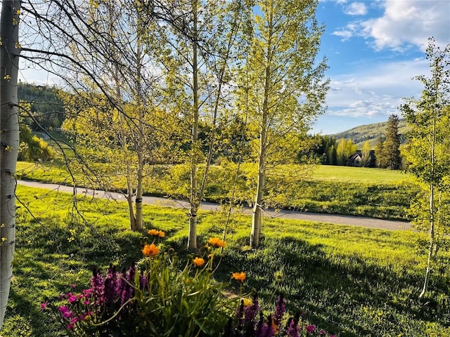 402 Kestrel Ln, Silverthorne, CO 80498 - view of community featuring a mountain view