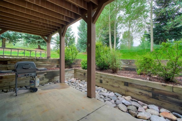 view of patio / terrace with a grill