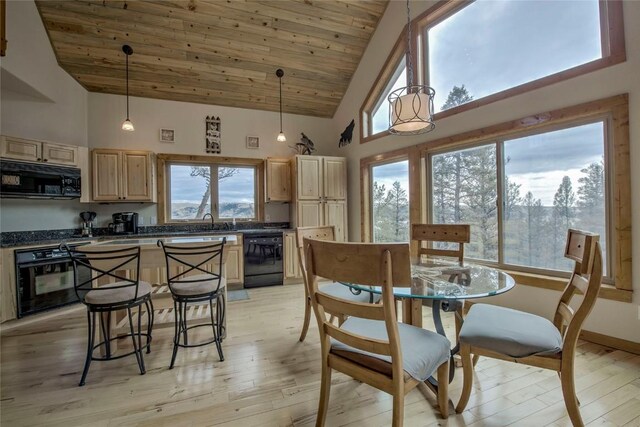 3222 Middle Fork Vis, Fairplay, CO 80440 - photo 17