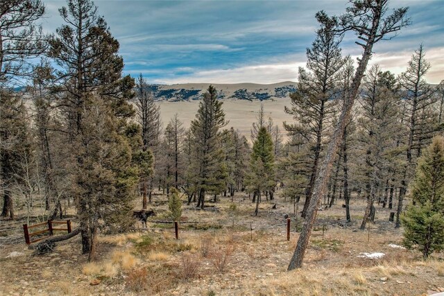 3222 Middle Fork Vis, Fairplay, CO 80440 - photo 35