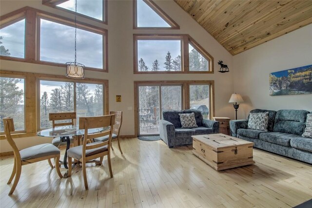3222 Middle Fork Vis, Fairplay, CO 80440 - photo 8