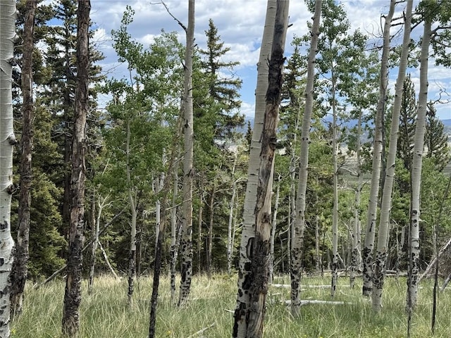 28 Como St, Como, CO 80432