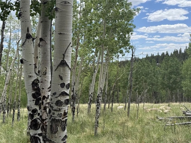 28 Como St, Como, CO 80432