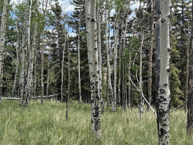 28 Como St, Como, CO 80432