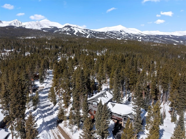 284 Lakeshore Loop, Blue River, CO 80424 - view of mountain background with a heavily wooded area