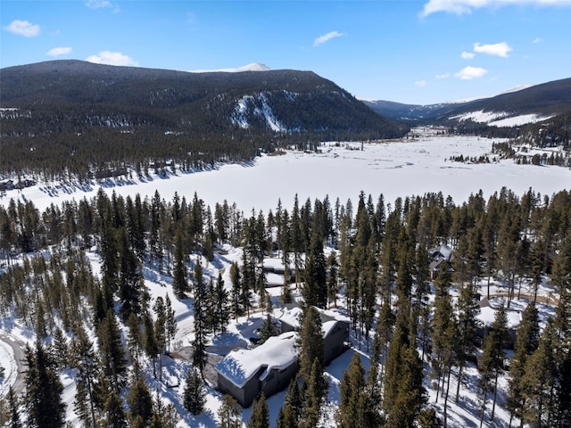 284 Lakeshore Loop, Blue River, CO 80424 - view of mountain background