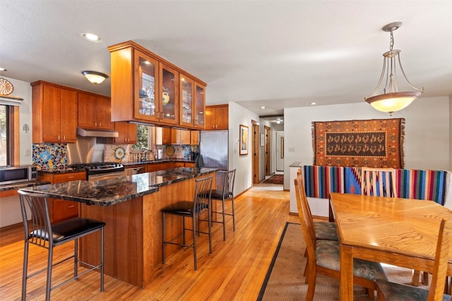 284 Lakeshore Loop, Blue River, CO 80424 - kitchen featuring under cabinet range hood, stainless steel appliances, backsplash, light wood-style floors, and brown cabinetry
