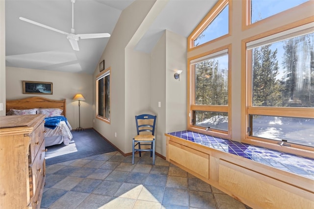 284 Lakeshore Loop, Blue River, CO 80424 - bedroom with baseboards, dark stone finish flooring, and high vaulted ceiling