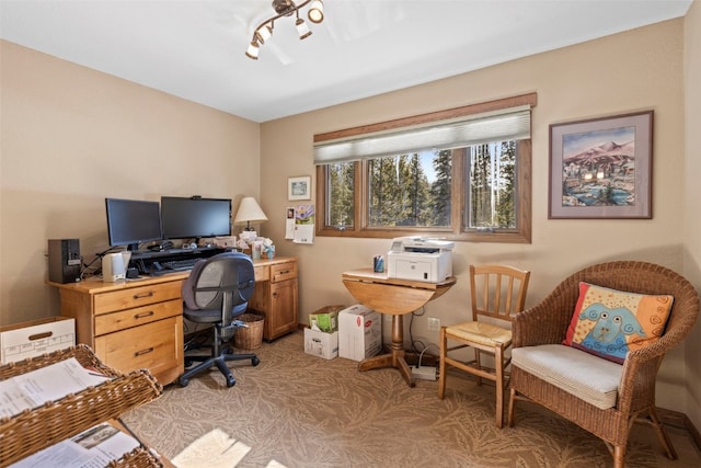 284 Lakeshore Loop, Blue River, CO 80424 - office space with light carpet