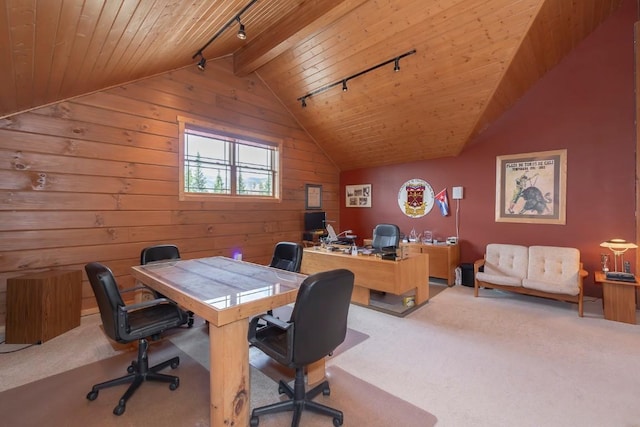 12000 Ute Pass Rd, Parshall, CO 80468 - carpeted home office featuring rail lighting, wood ceiling, and wooden walls