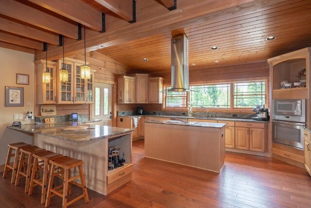 12000 Ute Pass Rd, Parshall, CO 80468 - kitchen with stainless steel appliances, a peninsula, wooden ceiling, wood-type flooring, and glass insert cabinets