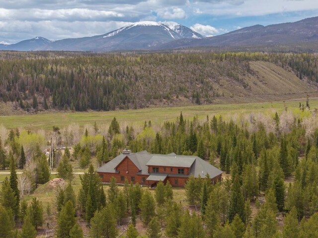 12000 Ute Pass Rd, Parshall, CO 80468 - mountain view with a forest