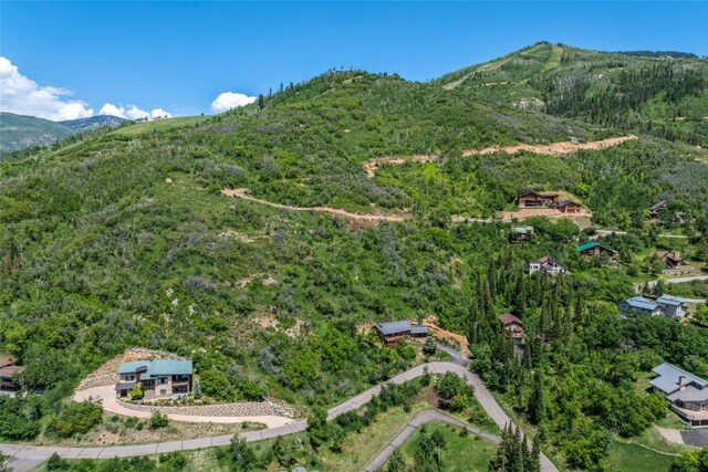 TBD Ski Trail Ln, Steamboat Springs, CO 80487 - photo 3