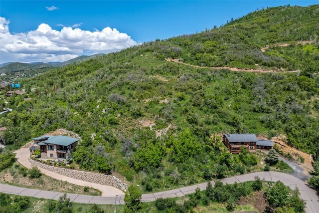 TBD Ski Trail Ln, Steamboat Springs, CO 80487 - photo 6