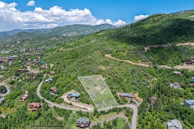 TBD Ski Trail Ln, Steamboat Springs, CO 80487 - photo 2