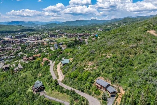 TBD Ski Trail Ln, Steamboat Springs, CO 80487 - photo 9