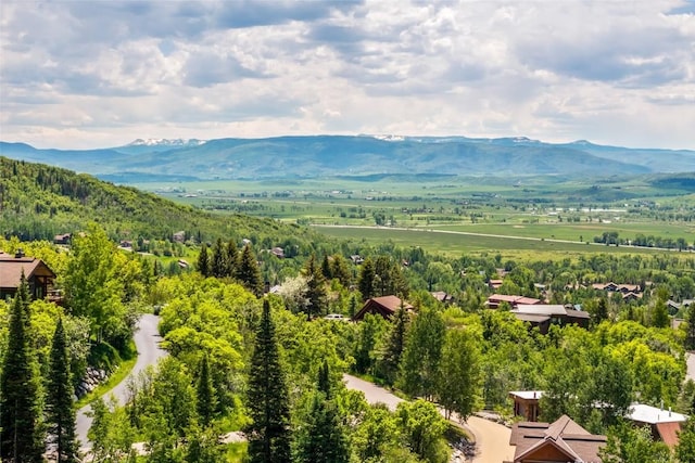 TBD Ski Trail Ln, Steamboat Springs, CO 80487 - photo 1