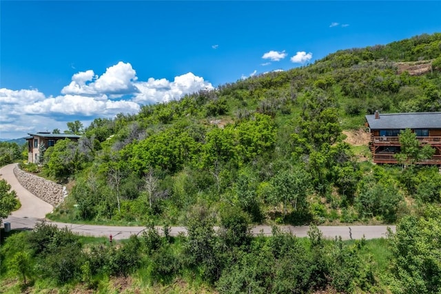 TBD Ski Trail Ln, Steamboat Springs, CO 80487 - photo 7