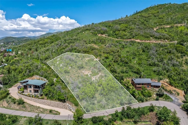 TBD Ski Trail Ln, Steamboat Springs, CO 80487 - photo 4