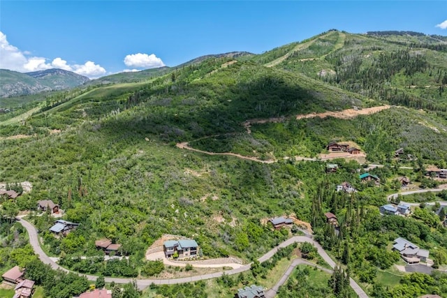 TBD Ski Trail Ln, Steamboat Springs, CO 80487 - photo 10