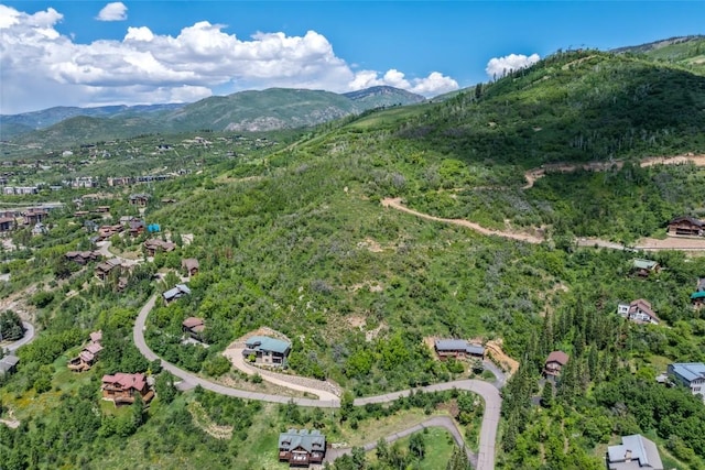 TBD Ski Trail Ln, Steamboat Springs, CO 80487 - photo 8