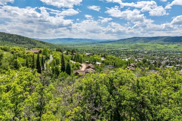 TBD Ski Trail Ln, Steamboat Springs, CO 80487 - photo 5