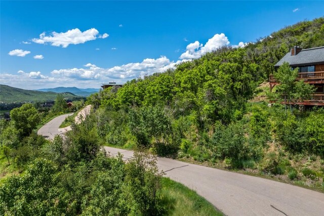 TBD Ski Trail Ln, Steamboat Springs, CO 80487 - photo 11