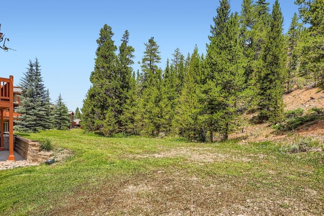 233 Pelican Cir Unit 1501, Breckenridge, CO 80424 - photo 24