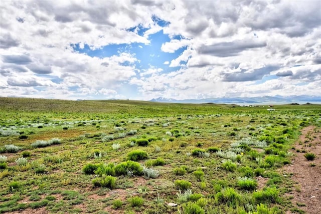313 Watonga Rd, Hartsel, CO 80449
