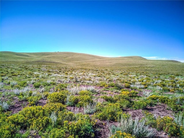 313 Watonga Rd, Hartsel, CO 80449