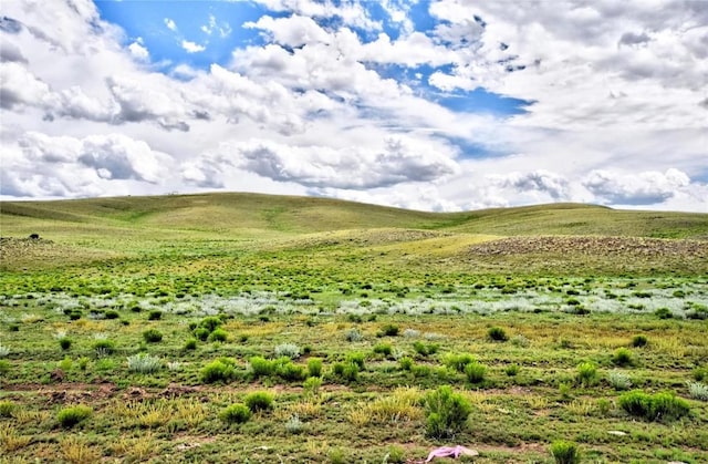 313 Watonga Rd, Hartsel, CO 80449