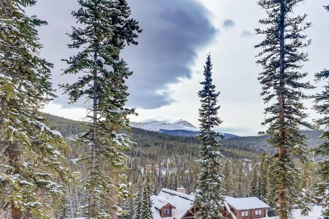 197 Goldenview Dr, Breckenridge, CO 80424