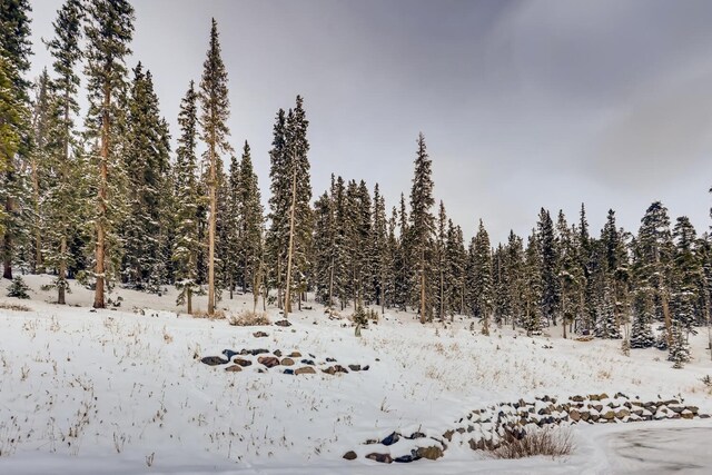 197 Goldenview Dr, Breckenridge, CO 80424