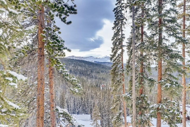 197 Goldenview Dr, Breckenridge, CO 80424