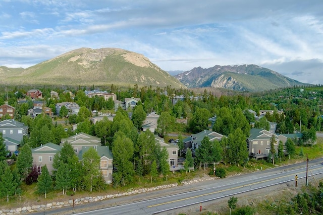 303 Saddle Ridge Dr Unit 303, Silverthorne, CO 80498 - photo 34
