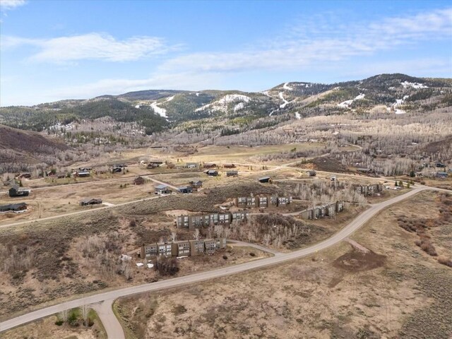 30311 County Road 16 Unit 105, Oak Creek, CO 80467 - property view of mountains with a rural view