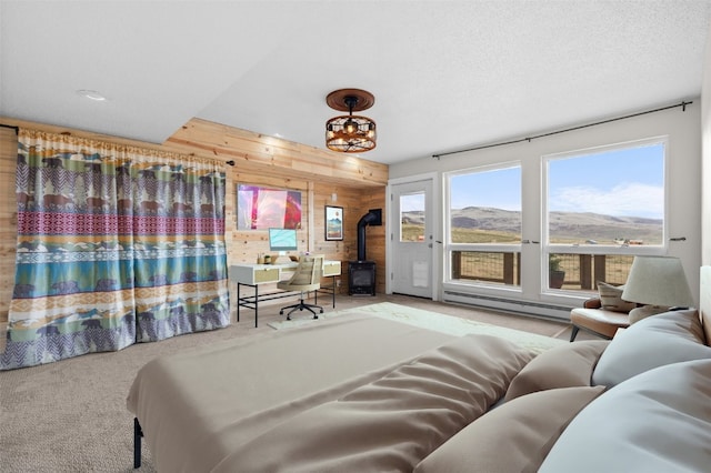 30311 County Road 16 Unit 105, Oak Creek, CO 80467 - bedroom with a wood stove, wood walls, a baseboard heating unit, a chandelier, and carpet flooring