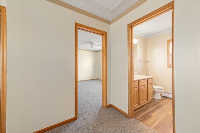 407 S 3rd St Unit 407, Hayden, CO 81639 - corridor with ornamental molding, light carpet, and baseboard heating