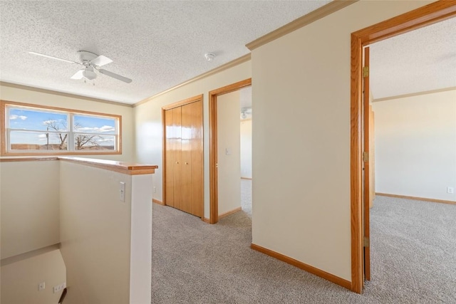 407 S 3rd St Unit 407, Hayden, CO 81639 - hall with light colored carpet, an upstairs landing, ornamental molding, and a textured ceiling