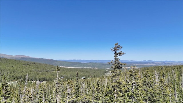 72 Sunshine Dr, Fairplay, CO 80440 - photo 5